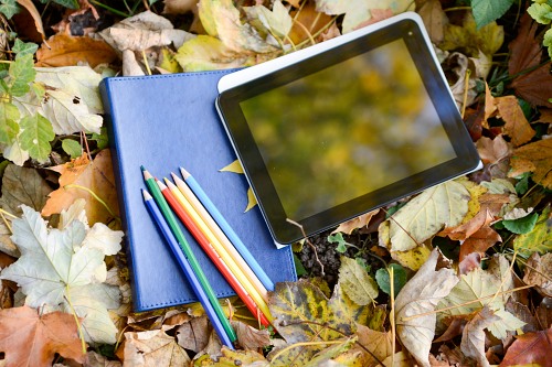 Tablet, Heft und Stifte auf Herbstlaub - (C) 4FreePhotos